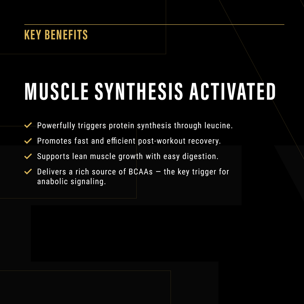 Anabolic Protein